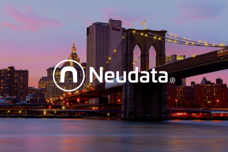 Neudata NY winter event